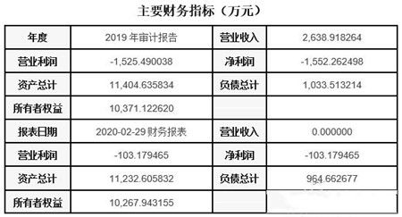 上海軟件和信息技術服務公司轉讓項目040523 信息系統集成服務商機