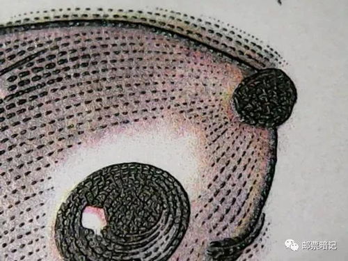 鐳射系列材料 科技與美學(xué)的完美融合